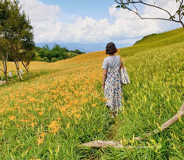 六十石山