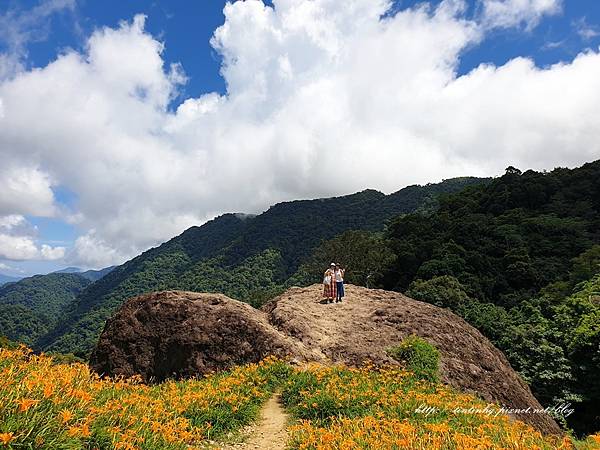 赤柯山