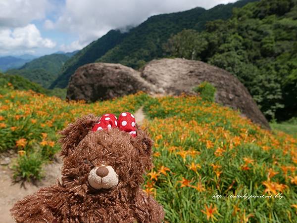 赤柯山