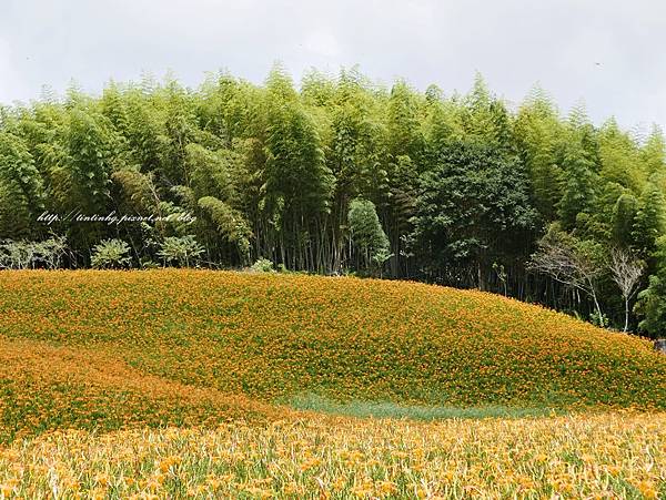 赤柯山