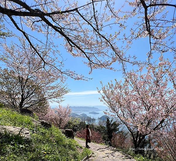 紫雲出山