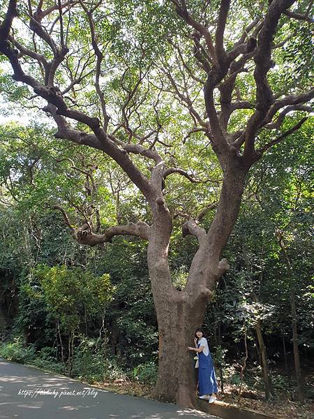 墾丁國家公園