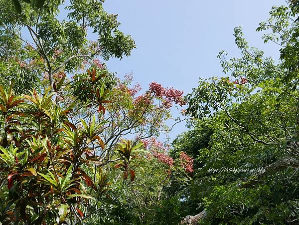 墾丁國家公園