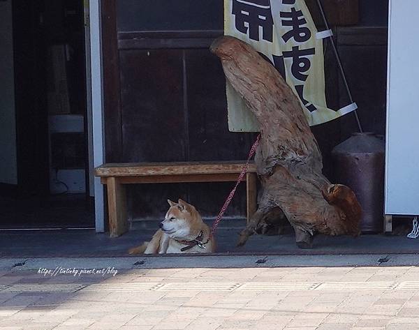 善通寺