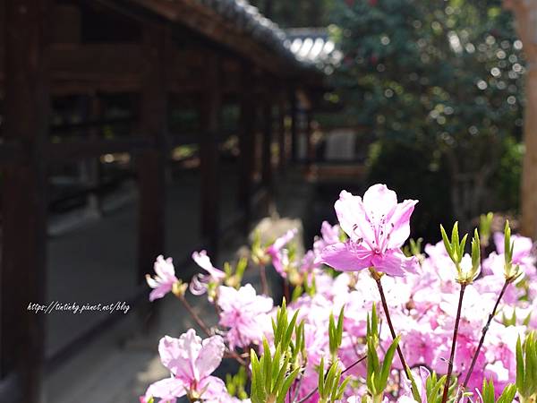 吉備津神社