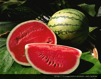 未成佛道,先結人緣.JPG 未成佛道,先結人緣.JPG