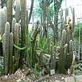 PalmenGarden 030.jpg