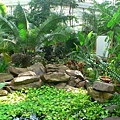 PalmenGarden 031.jpg