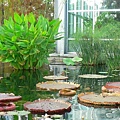 PalmenGarden 072.jpg