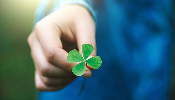 article-5c492d3dbaaee.jpg article-5c492d3dbaaee.jpg