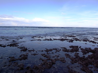 R0025532_大小 .JPG R0025532_大小 .JPG