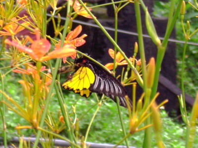 R0025694_大小 .JPG R0025694_大小 .JPG