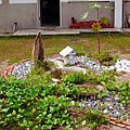R0026159_大小 .JPG