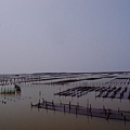 R0026181_大小 .JPG