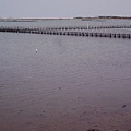 R0026198_大小 .JPG