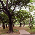 R0026305_大小 .JPG