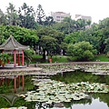 R0026327_大小 .JPG