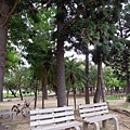 R0026359_大小 .JPG