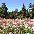 R0030147_大小 .JPG