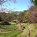 R0030220_大小 .JPG