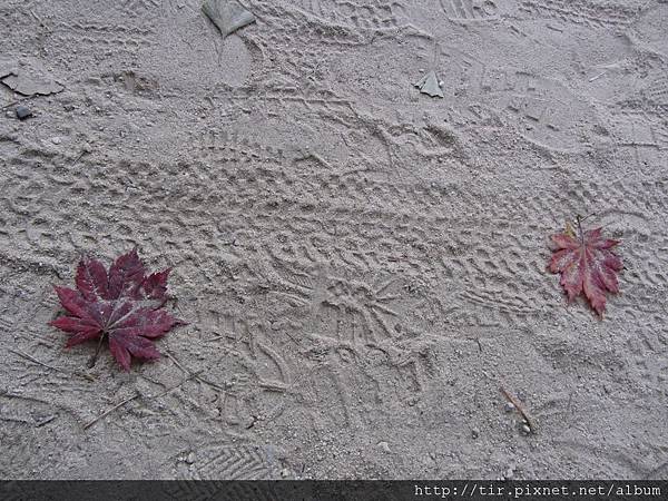 IMG_1319.jpg IMG_1319.jpg