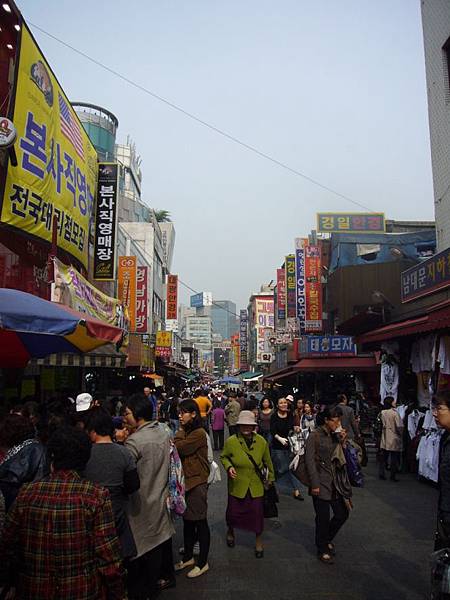 P1000263.JPG P1000263.JPG