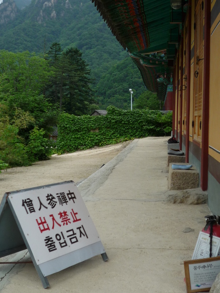 P1030866.JPG