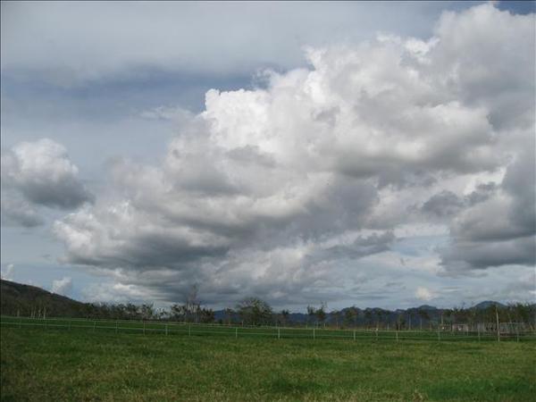 美..美..美..藍天.白雲..還有綠油油的草地...