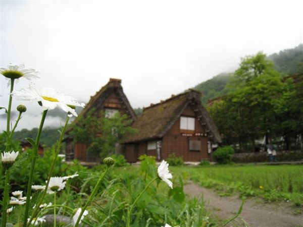 世界文化遺產-白川鄉合掌村