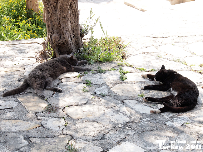 今天真的太熱了@KUSADASI