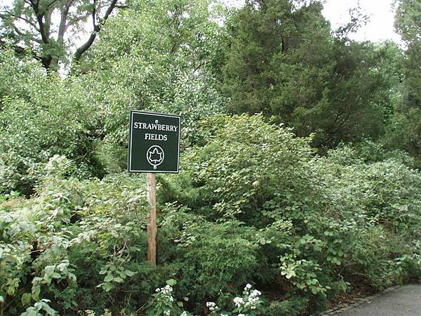 DAY 11-中央公園-Strawberry field