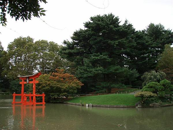 DAY 12-布魯克林植物園-日本庭園