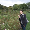 DAY 12-布魯克林植物園-玫瑰園