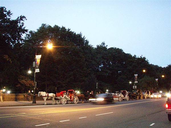 DAY 12-中央公園外夜晚排班的馬車