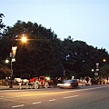 DAY 12-中央公園外夜晚排班的馬車