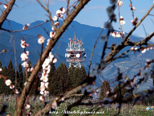 福壽山農場