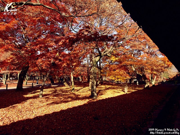 東福寺