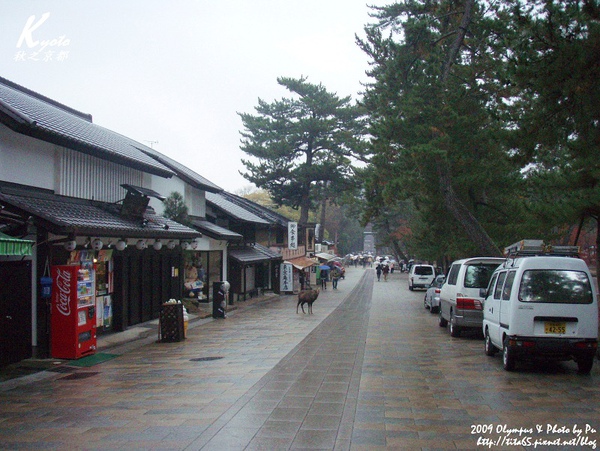 往東大寺