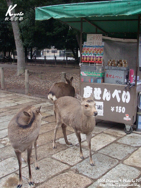 東大寺