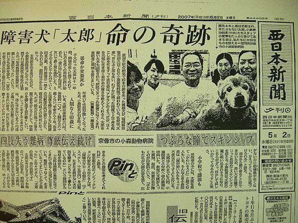 西日本新聞