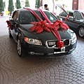 IMG_6239.jpg