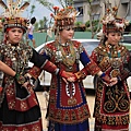 IMG_2337.jpg