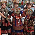 IMG_2339.jpg