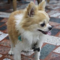 IMG_7554.jpg