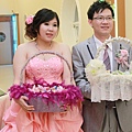 IMG_8223.jpg