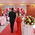 IMG_6480.jpg