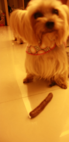 IMG_2089A.JPG IMG_2089A.JPG