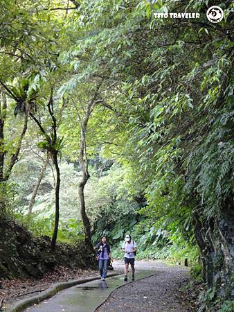 跟我們一樣早起的鳥兒