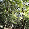 森林公園