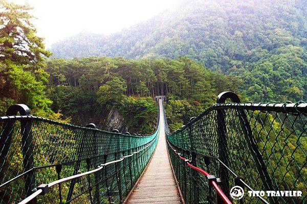 奧萬大吊橋